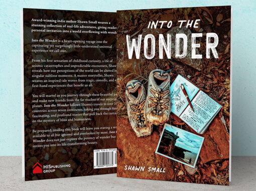 Into The Wonder Book Cover